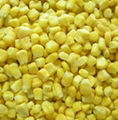 IQF sweet corn