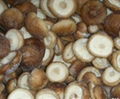 IQF Shiitake 1