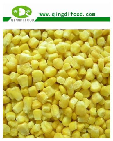 IQF sweet corn 2