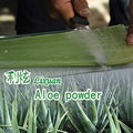 Aloe  Extracts