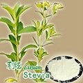 Stevia extracts