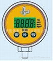 高精度压力表