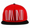 Diamonds Supply Co. Snapbacks 3