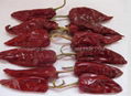 dry chilli 3