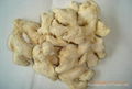 dry ginger flakes 2