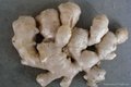 dry ginger flakes 3