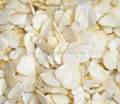 dry garlic flakes/powder 1