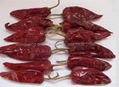 dried Yidu chilli