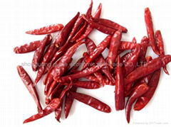 dried hot chaotian chilli