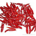 dried hot chaotian chilli 2