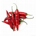 dried hot chaotian chilli 3