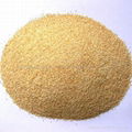 dehydrated garlic granules