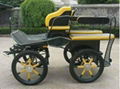 Marathon Training Horse Carriage BTH-02A