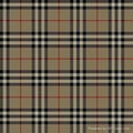 Tartan and Plaid fabric