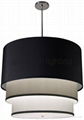 Pendant Lights 4