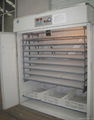 Fully Automatic Chicken Egg Incubator