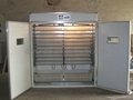 Fully Automatic Chicken Egg Incubator