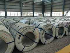 Hot rolled steel coil 