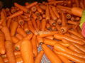 fresh carrot 1