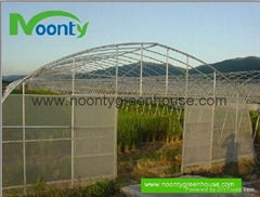 Single Tunnel Greenhouse