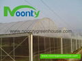 Gothic Arch Greenhouse 2