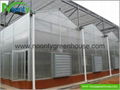 Venlo Polycarbonate (PC) Greenhouse