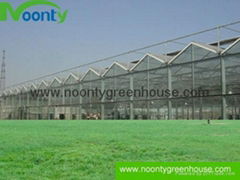 Venlo Glass Greenhouse