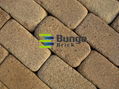 clay paving brick(Coffee) 4