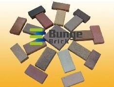 types of bricks