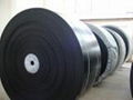 PVC800s Solid Woven Conveyor Belt (PVC800S) 1