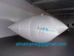 Food grade  flexitank flexibag 