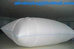 Top loading/bottom discharge  flexitank flexibag 