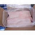 Frozen Pork back fat