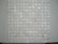 Freshwater Shell Mosaic on Mesh