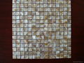 Freshwater Common Dapple Shell Mosaic on Mesh