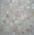 Freshwater Shell Mosaic(seamless-joint)