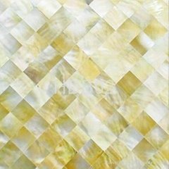 Yellowlip Shell Mosaic on Mesh