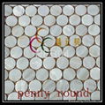 Freshwater Shell Mosaic(seamless-joint)