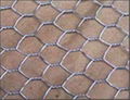 Hexagonal wire netting  2