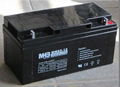 sealed lead acid battery 1