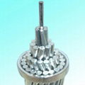 China High Quality AAAC Conductor