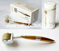 ZGTS Derma Roller System A0001 Factory Direct Wholesale 