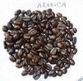 roasted coffee bean 2