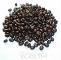 roasted coffee bean 3