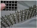 Crimped Wire Mesh  4