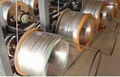 Galvanized Wire