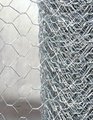 Hexagonal wire Netting 