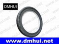 B2PT type ptfe seal for Pumps(65-90-10)