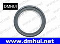 B2PT type ptfe seal for Pumps(65-90-10) 3