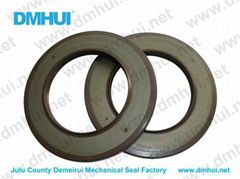 hydraulic oil seal for REXROTH pump 50-80-7/5